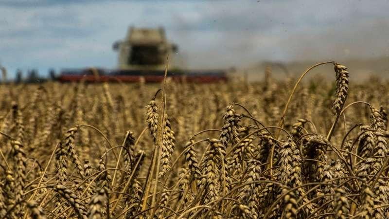 تمديد اتفاقية تصدير الحبوب الأوكرانية